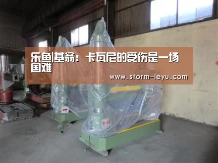 乐鱼|基翁：卡瓦尼的受伤是一场国难