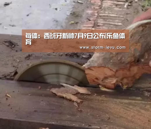 每体:西班牙新帅7月9日公布|乐鱼体育