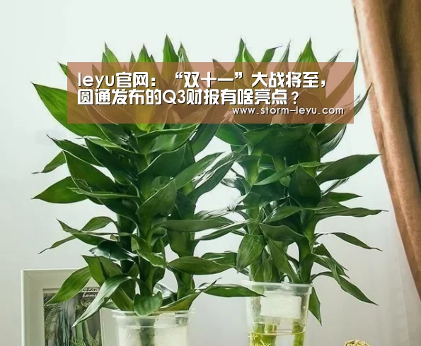 leyu官网:“双十一”大战将至,圆通发布的Q3财报有啥亮点?(图3) leyu官网:“双十一”大战将至,圆通发布的Q3财报有啥亮点?(图3)
