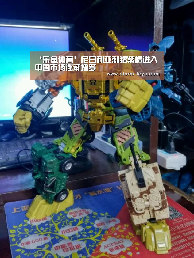 ‘乐鱼体育’尼日利亚刺猬紫檀进入中国市场逐渐增多(图2) 乐鱼