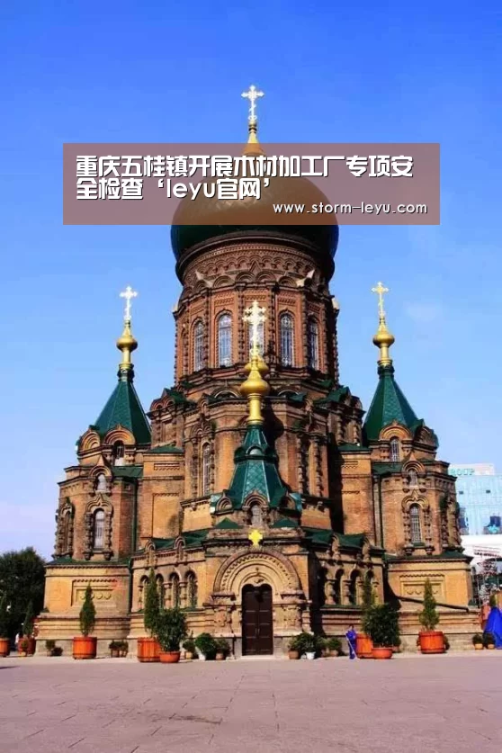 重庆五桂镇开展木材加工厂专项安全检查‘leyu官网’(图3) 乐鱼