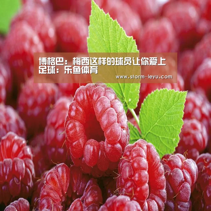 博格巴:梅西这样的球员让你爱上足球:乐鱼体育(图2) 乐鱼